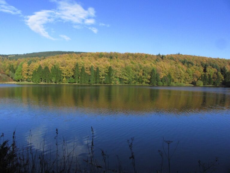 Macclesfield Forest near Roaches Hall, Peak District