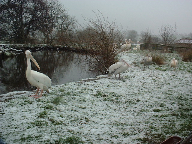 Peak Wildlife Park near Roaches Hall, Peak District